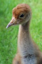 Yellow White Black - 12th May 2014 Yellow White Black - 12th May 2014